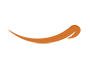 icono agrosuper