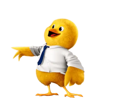 pollo