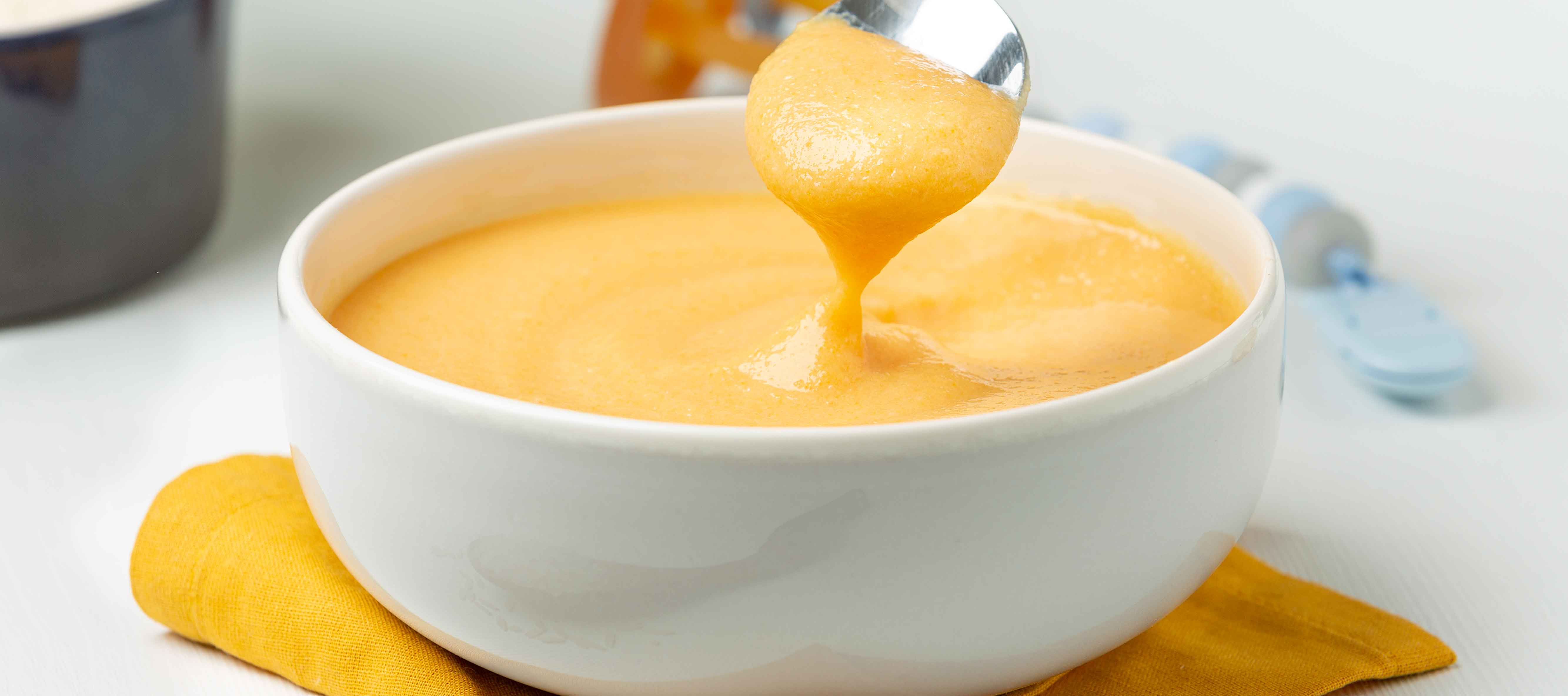 Receta de Papilla de pollo con zanahoria y zapallo Super Pollo